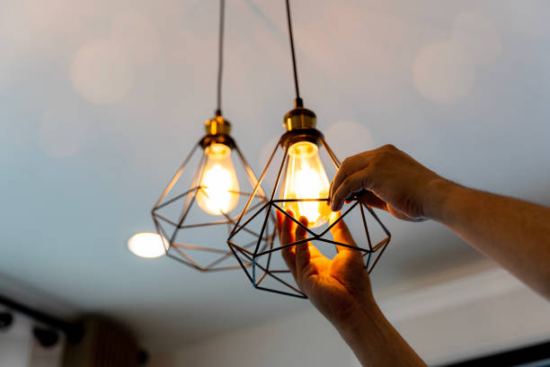 Professional Electrician in Occidental, CA